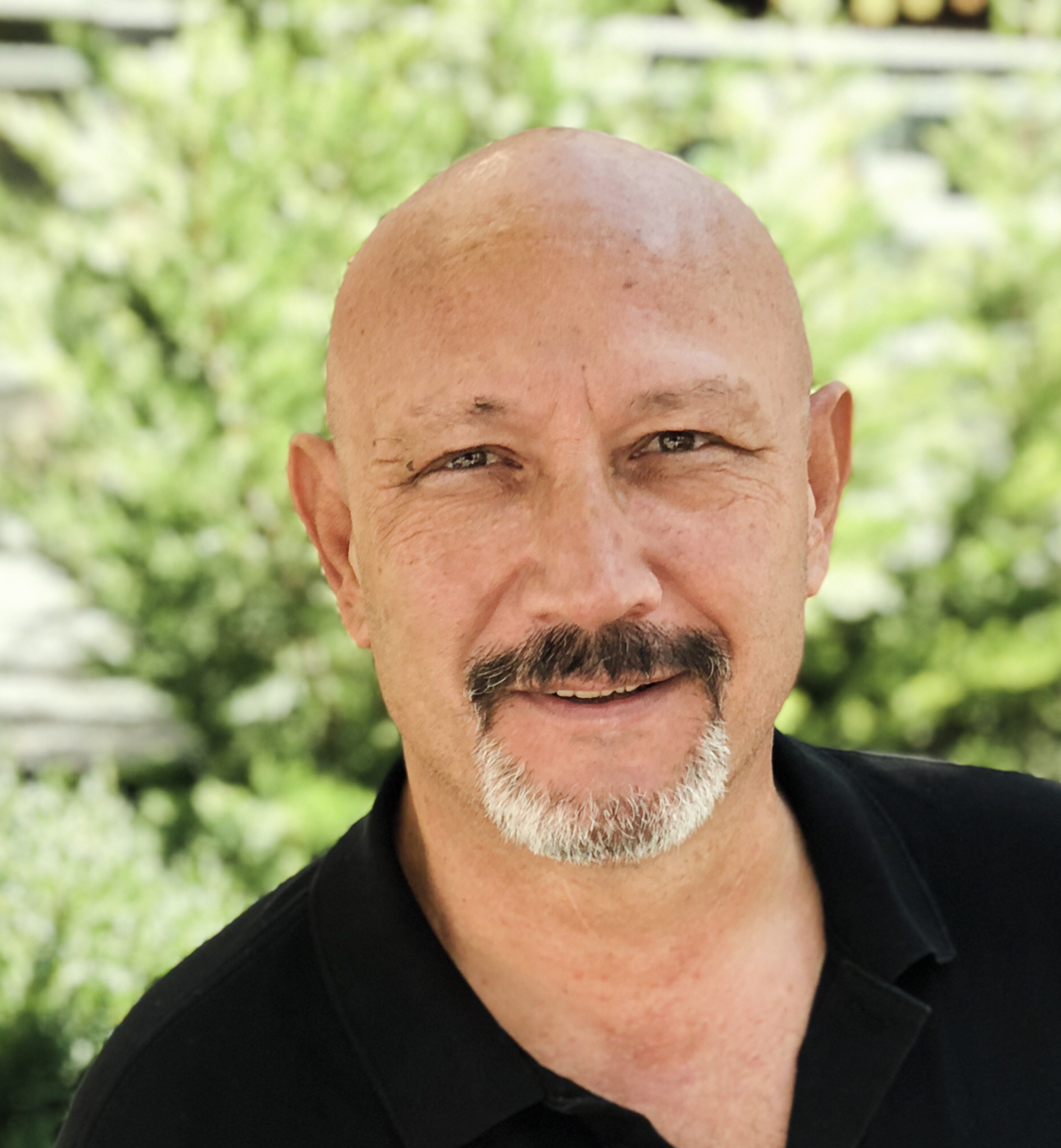 psikiyatrist yazar